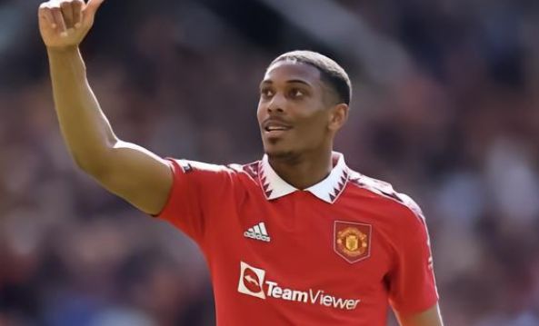 而小蜘蛛的 而小蜘蛛的