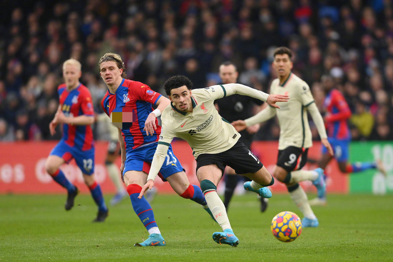 动的全球化 动的全球化